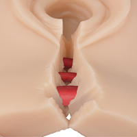 Mini silicone, simulateur d'épisiotomie et de suture, simulateur de vagin