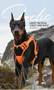 Gilet harnais tactique pour <span class=keywords><strong>chien</strong></span> OEM Logo personnalisé réfléchissant réglable sans traction Harnais pour animaux de compagnie Formation Contrôle facile Poignée harnais laisse - Product Image 3
