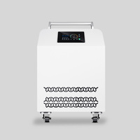 Refroidisseur de vente d'usine eau refroidie bain de glace R410A 220V refroidisseur de bain de glace pour contrôlé par application