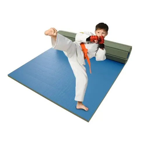 Linyiqueen Roll Out Worstelen Mat 4Cm Aangepaste Pvc Opvouwbare Judo Mat Gemakkelijk Schoon Voor Judo Mma Karate Mixed Martial Arts