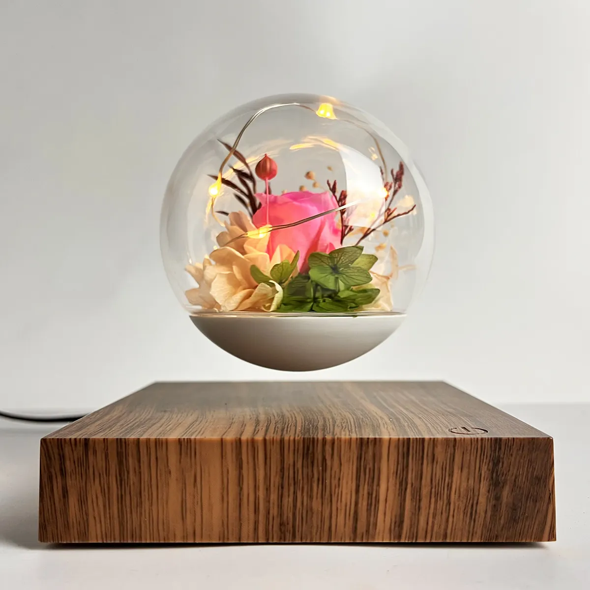 HCNT Magnetic Levitating Lamp LED Bulb Preserved Flower Real Rose Eternal Floating Light for Gifts