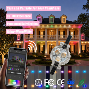 12V 24V 36V UV Led <b>Point</b> <b>Light</b> Source Smart App Controller 30mm Permanent Rgbw Pixel Led Christmas <b>Lights</b> - Product Image 1
