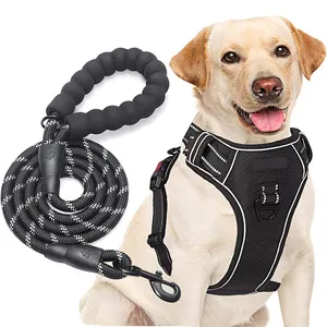 Manufacturers Oem Personalized Custom Wholesale Adjustable Luxury Custom No Pull Dog Harness Set Pet Harnesses Dog Harness