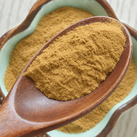 Poudre d'extrait de fenouil naturel de qualité alimentaire en gros pour la matière première des aliments et boissons fonctionnels