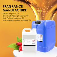 Huile de parfum roll-on pour femmes CNUS, certification MSDS IFRA, huile parfumée inspirée des parfums de marque de Dubaï, vente en gros