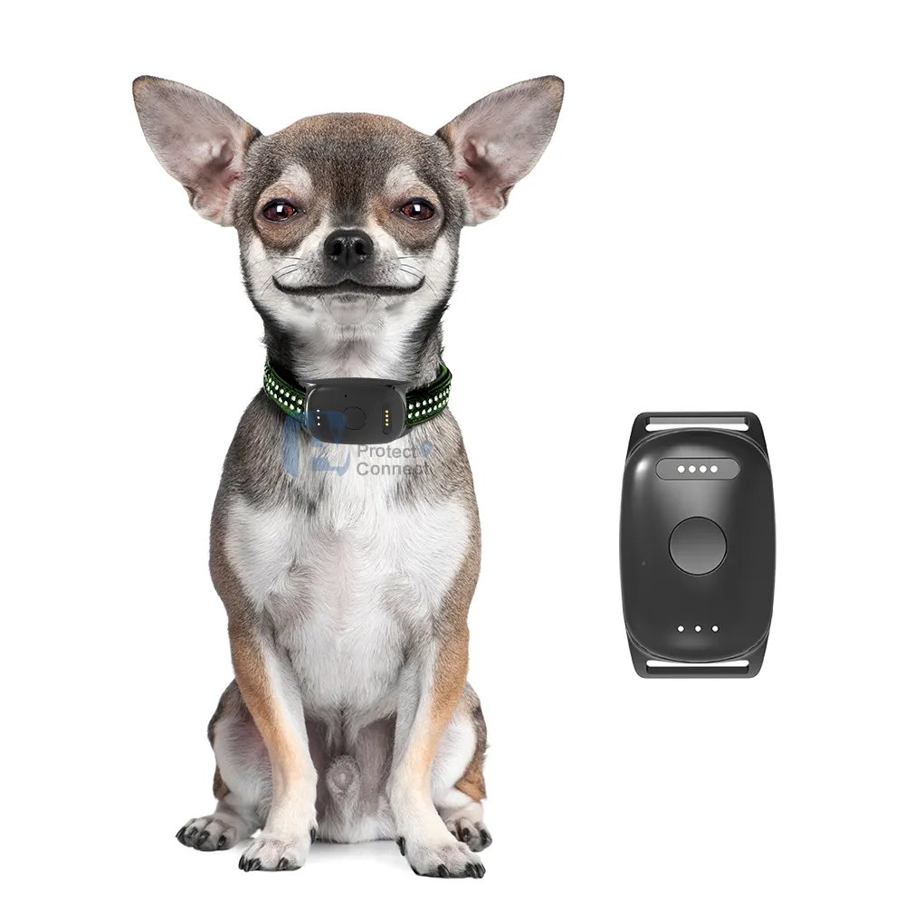 Localizzatore satellitare in tempo reale GPS per animali domestici EV-201M collare per cani con scatola di imballaggio personalizzata