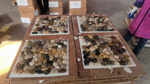 Pebble Gạch <span class=keywords><strong>Mosaic</strong></span> cho tường và tự nhiên phẳng Pebble Gạch <span class=keywords><strong>Mosaic</strong></span> cho sàn gạch lát - Product Image 5