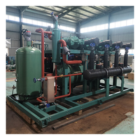 Unité de réfrigération de fabrication chinoise 200HP 400HP 600HP Compresseur à vis pour l'ammoniac Froid pour l'agriculture ou la congélation des fruits de mer