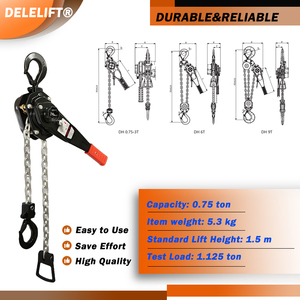 Fabricant de machines à chaînes de levage certifiées CE et ISO, équipement de levage de grue de 0,75 tonne, accepte les OEM et ODM - Product Image 4