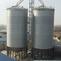 Silos per Cereali a Prezzo di Fabbrica in Acciaio Zincato a Caldo con Cono a Tramoggia per Stoccaggio di Cereali Sfusi e Chicchi di Caffè