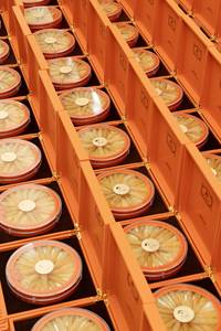 Produits alimentaires tonifiants haut de gamme : Gelembung Ikan Kembung (vessie de poisson) – Cadeau idéal pour le Festival du Printemps et le Festival de la Mi-<span class=keywords><strong>Automne</strong></span> - Product Image 6