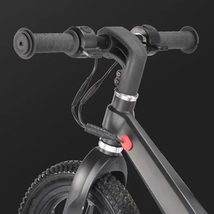 <span class=keywords><strong>2023</strong></span> nouveau produit enfants balance bike 12 pouces enfants vélo électrique 120w24v batterie au Lithium pour enfants en alliage d'aluminium vélo à vitesse unique - Product Image 4