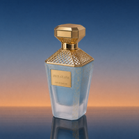 Flacon de parfum en verre vide de 30 ml, 50 ml, 100 ml, design octogonal, grille dorée décorative, couvercle artistique irrégulier avec emballage cadeau