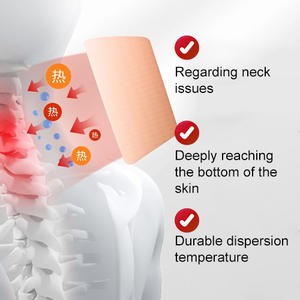 Plester <span class=keywords><strong>Herbal</strong></span> Pereda Nyeri Tulang Belakang Leher 10*13cm Bersertifikat CE Perawatan Efektif untuk Nyeri Tulang Belakang - Product Image 3
