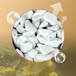 Teelt Goudklompje Pro Zoetwaterfilter-Laat Ijzerionen Vrij En Houd Stabiel Water In Aquaria - Product Image 3