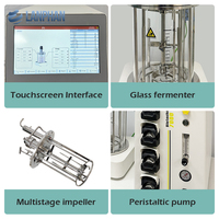 Bioréacteur de laboratoire multifonctionnel de petite taille (1L, 2L, 3L, 5L, 10L) pour culture microbienne, avec contrôle PID intelligent et faible bruit