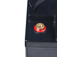 Batteries LiFePO4 à décharge profonde Melasta, vente en gros, rechargeables, OEM, 12,8 V 100 Ah, batterie au lithium-fer avec BMS pour camping-cars et bateaux