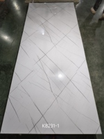 Panneaux muraux modernes en PVC effet marbre UV, revêtement imperméable en PVC pour meuble TV, garantie 1 an pour hôtels et salles