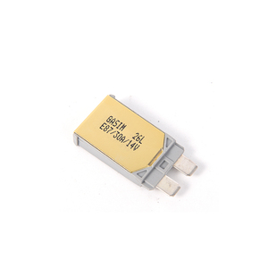 E89 10a 12v dc <span class=keywords><strong>disjoncteur</strong></span> <span class=keywords><strong>prix</strong></span> lame fusible voiture marine auto <span class=keywords><strong>disjoncteur</strong></span> 5a 15a 20a mini fusible - Product Image 2