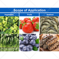 ORME Fruit Vloeistof Snelvriesproceslijn Appelwas- en sorteerlijn Blast Freezer Transportband Productielijn