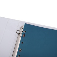 AFFISURE-carpeta de archivos de 11 agujeros de plástico PP, índice de páginas, 10 pestaña, divisores de carpeta para suministros de oficina