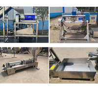 Machine de fabrication de pâte de tomate à petite échelle en acier inoxydable de qualité alimentaire, capacité personnalisable, usine de transformation des légumes en Chine
