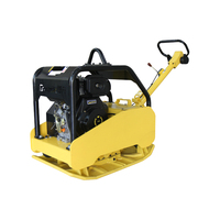 Compactador de suelo de mano diésel de gasolina de la mejor calidad, tipo Mini, compactador de placa vibratoria para sitio de construcción