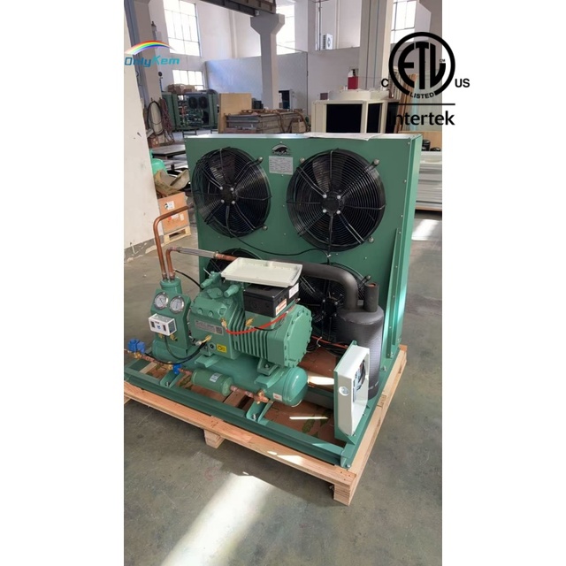 8HP 10HP 20HP Bitzer Condensing Unit with Original Compressor PLC Remote Control Refrigeration Units for Walk in Cooler Freezer