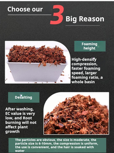 Vườn Màu Xanh Lá Cây Tại Giá Cả Phải chăng Giá Coco Than Bùn 5Kg Khối Coco Vỏ Chip Khối Coco Than Bùn Trong Sri Lanka - Product Image 5