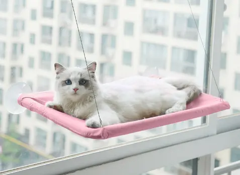 Hot pet products Suction cup cat hammock four seasons universal cat hammock can be dismantled and washed cat nest