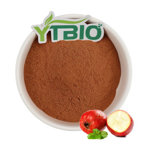 サンザシ果実エキス粉末 - 機能性食品やサプリメントのための自然な消化サポートと抗酸化作用 - Product Image 1