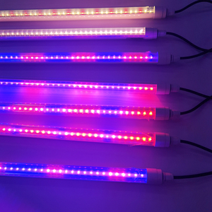 Lumière LED de culture d'algues pour Nannochloropsis Oculata Vulgaris Chlorella Vulgaris - Product Image 1