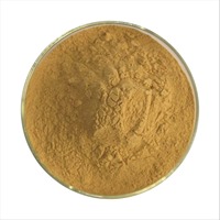 Poudre d'extrait de Gou Teng Uncaria Gambir d'extrait naturel d'Uncaria Gambier d'approvisionnement