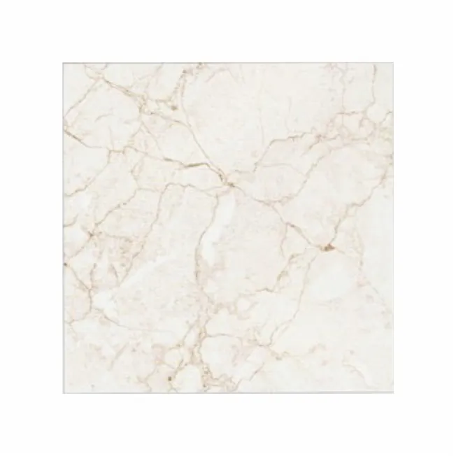 BOTOCHINO Indian Porcelain tiles best quality most popular thickness porcelain tile 600 x 600