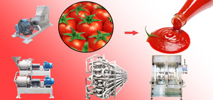 Sản lượng cao cà chua dán dây chuyền sản xuất nhà máy tùy biến Giao hàng nhanh chóng tự phát triển thiết bị - Product Image 6