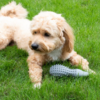 Jouets à mâcher interactifs classiques sans BPA pour chiots de grande/moyenne race - Jouet pour chien en silicone de qualité alimentaire pour le nettoyage des dents