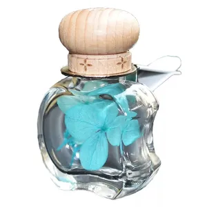 Оптовая продажа, стеклянная подвесная бутылка в форме яблока H & Z с деревянной пробковой стеклянной бутылкой, экологичное бытовое украшение для автомобиля, парфюм
