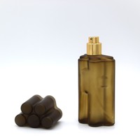 Bouteille de parfum en verre en forme de cigare de parfum de luxe Aroma 100ml avec bouchon