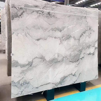 Dalles de marbre blanc camouflage - Polies naturellement, pour projets d'intérieur modernes et luxueux, veines grises et noires, durables, écologiques, garantie 5 ans