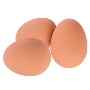 Carino e interessante espressione non stampata realistica a forma di uovo giocattolo per animali domestici simulato palla di gomma rimbalzante per cani - Product Image 5