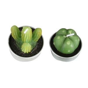 Personalizzato Vari Stili di Trasporto Combinazione di Paraffina di Simulazione In Vaso Pianta di Cactus Spinoso Pera Forma di Animale Succulente Rosa Candela - Product Image 5