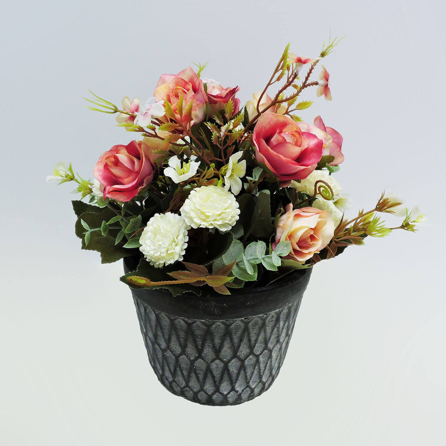 Rosa con P5303-18 pentola di cemento