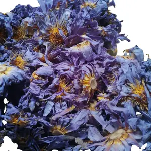 Dehydrierte blaue Lotusblume China Natürlicher duftender Tee trockene blaue Lotusblumen
