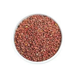 Vente en gros de graines de raphanier de Chine de haute qualité, variété complète, pour la cuisson à la wok - Product Image 1