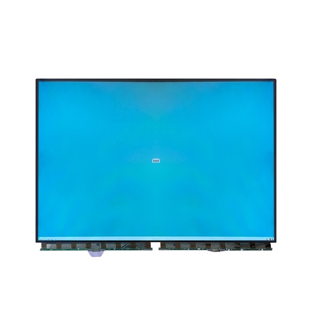 ST645D01-1 For Hisense Skyworth TCL Sony LG 65 inch TV screen