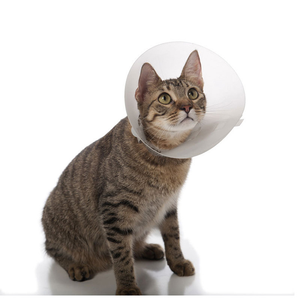 Rarewe Adjustable E-Collar for <b>Dogs</b> Lightweight Plastic Soft Recovery Cone Reflective Wholesale Elizabethan Pet Surgery Collar - Product Image 4