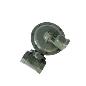 Régulateur de pression 1803B2 DN25, vanne de régulation de pression, vannes pour brûleurs à gaz industriels - Product Image 5