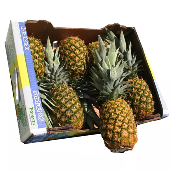 Custom Printed Fresh Pineapple Shipping Boxes Corrugated Cartons Fruit Cardboard Boxes for Export Transportation