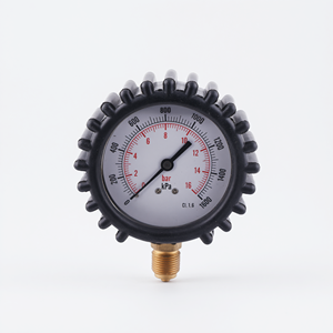 Manomètre radial de 50 mm avec couvercle de protection en fonte pour la mesure de pression - Product Image 1