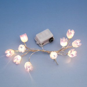 Pin Powered Tulip 1M 10Leds Dây Đồng Chuỗi Lights Cho Cây Giáng Sinh Kỳ Nghỉ Wedding Party Trang Trí Nội Thất Bạc Đầy Sao - Product Image 3